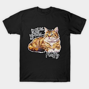 Cat Lover - Fluffy Not Fat: The Cat Body Positive Movement T-Shirt